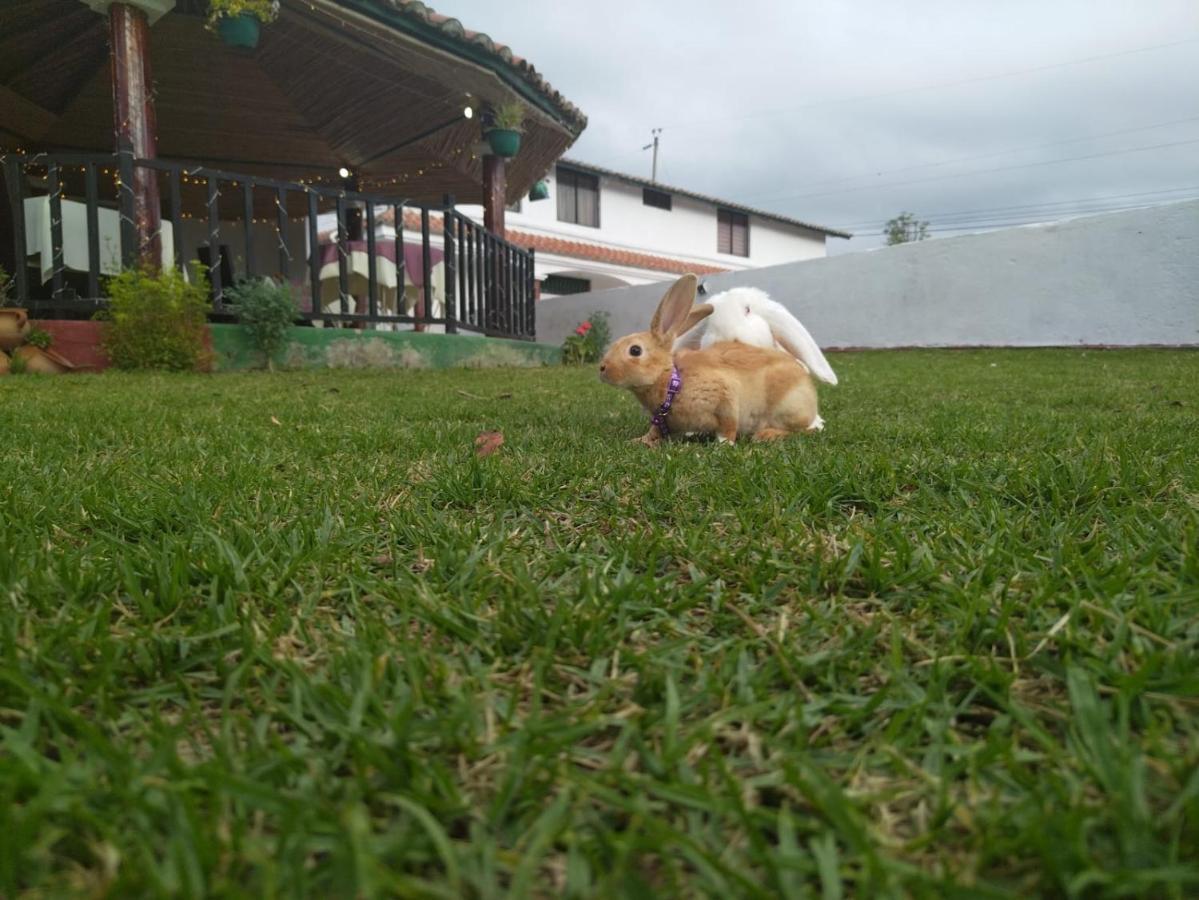 Quinta Winay Hotel Yaruqui Exterior photo